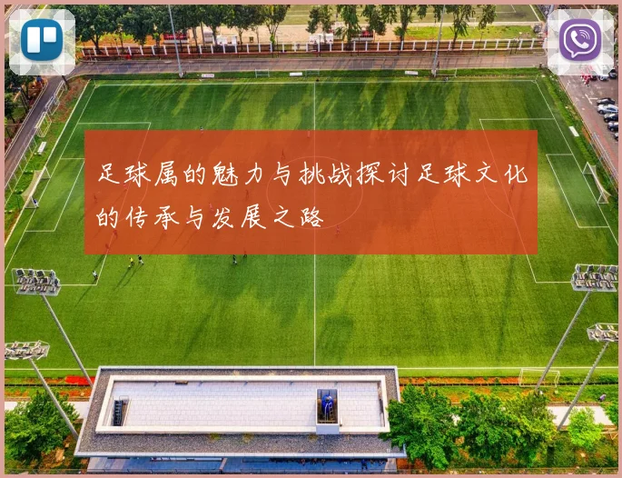 足球属的魅力与挑战探讨足球文化的传承与发展之路