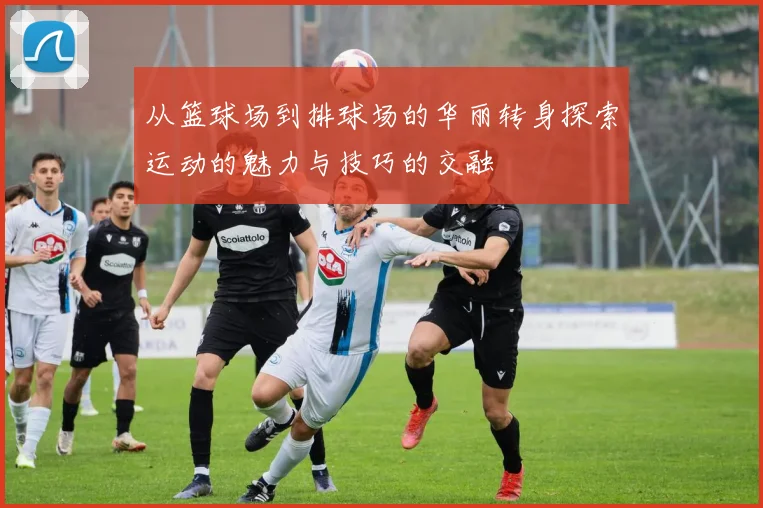 从篮球场到排球场的华丽转身探索运动的魅力与技巧的交融