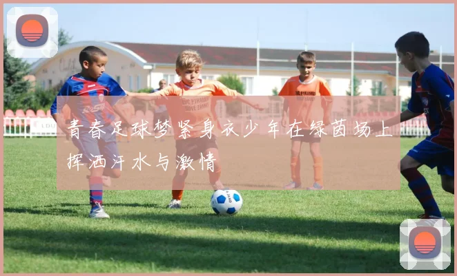 青春足球梦紧身衣少年在绿茵场上挥洒汗水与激情