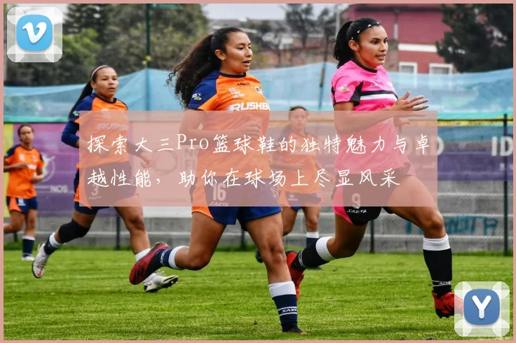 探索大三Pro篮球鞋的独特魅力与卓越性能，助你在球场上尽显风采