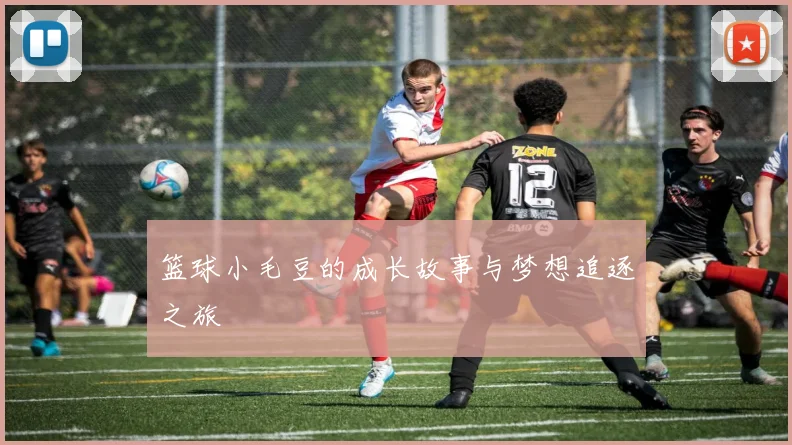 篮球小毛豆的成长故事与梦想追逐之旅