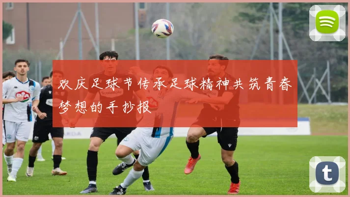 欢庆足球节传承足球精神共筑青春梦想的手抄报